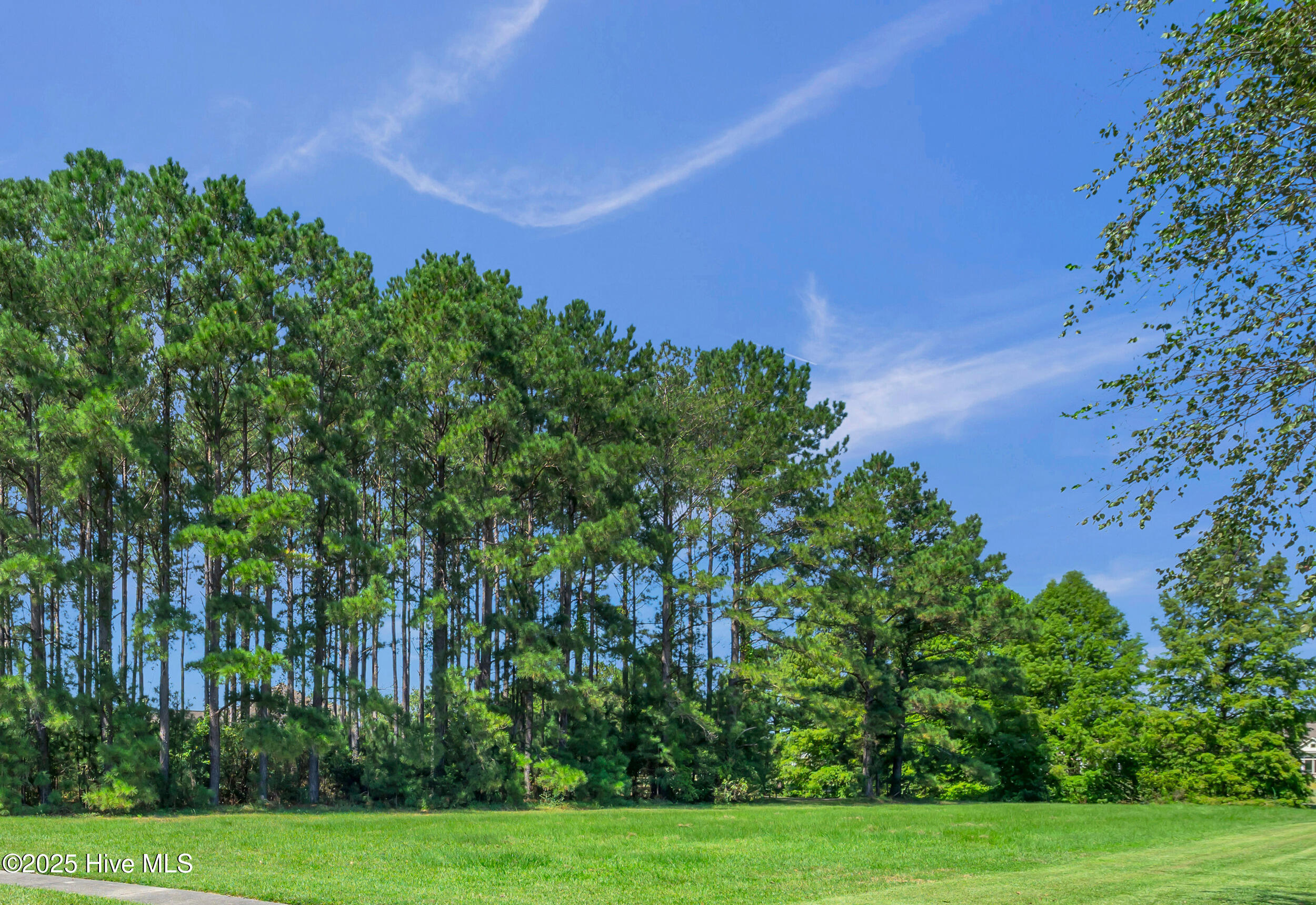 9300 Checkerberry Square Calabash, NC 28467 - Photo 4 of 10 4