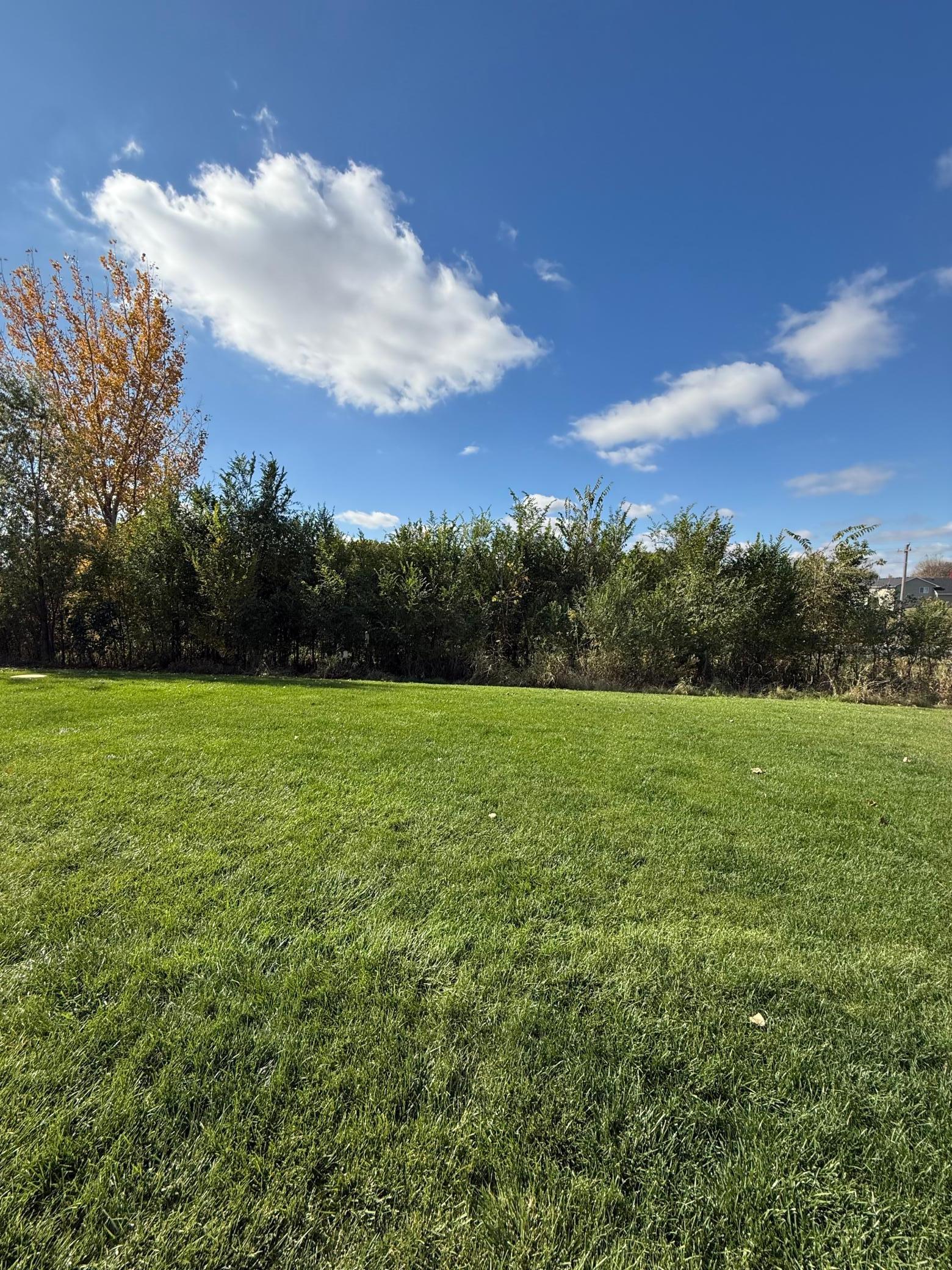 1011 Alexander Court Montrose, MN 55363 - Photo 38 of 38