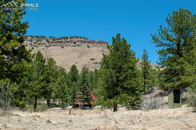 441 Wagonwheel Road Guffey, CO 80820 - Photo 14 of 36 Gallery Image 14