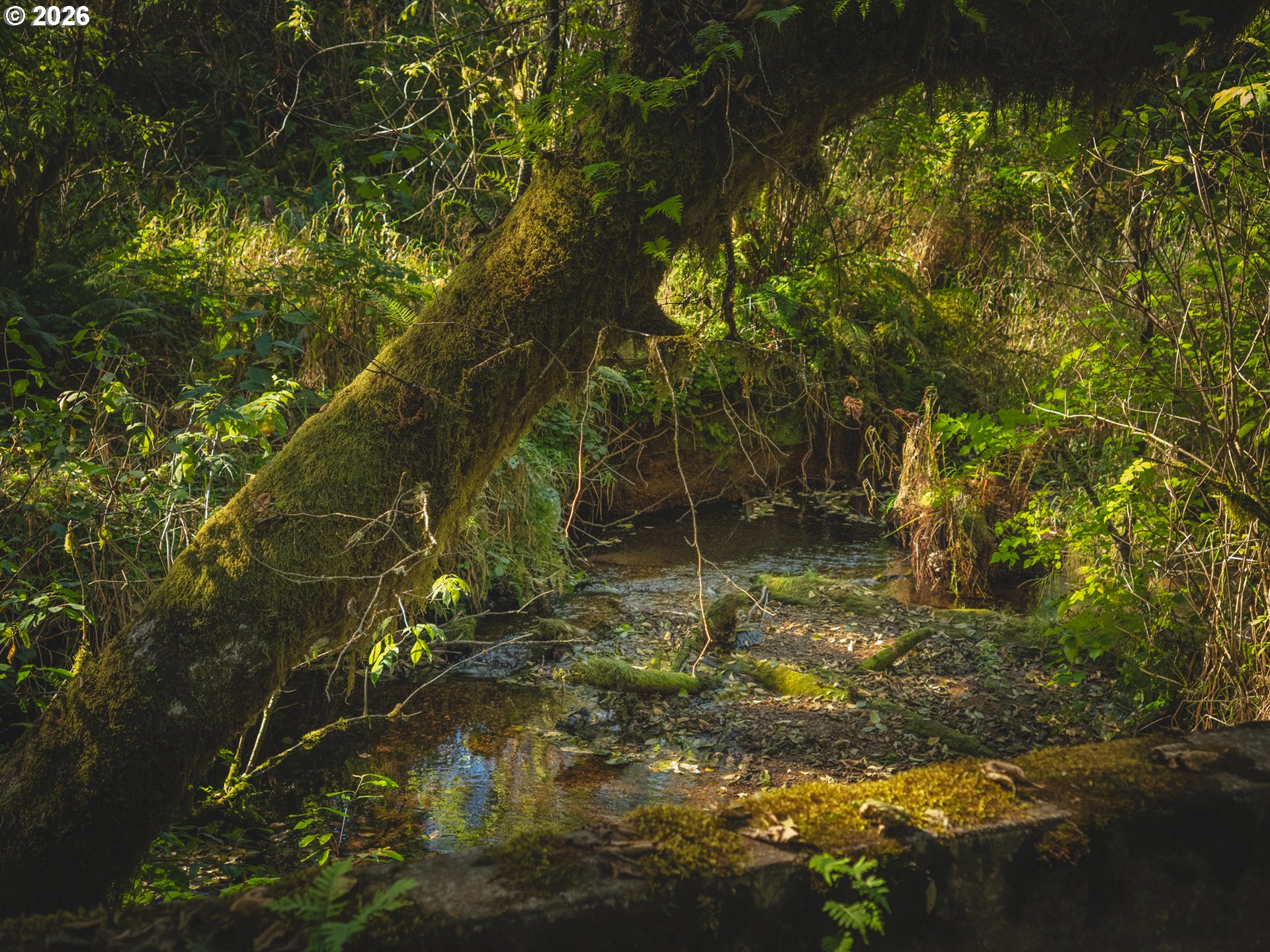 931 North S Low Road Seal Rock, OR 97376 - Photo 14 of 33