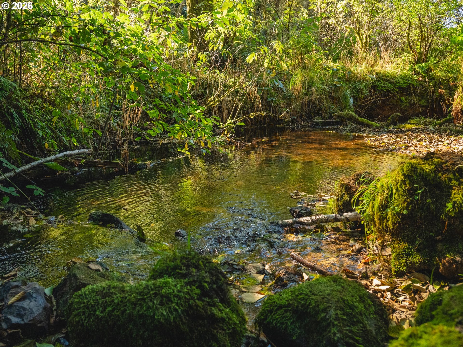 931 North S Low Road Seal Rock, OR 97376 - Photo 15 of 33