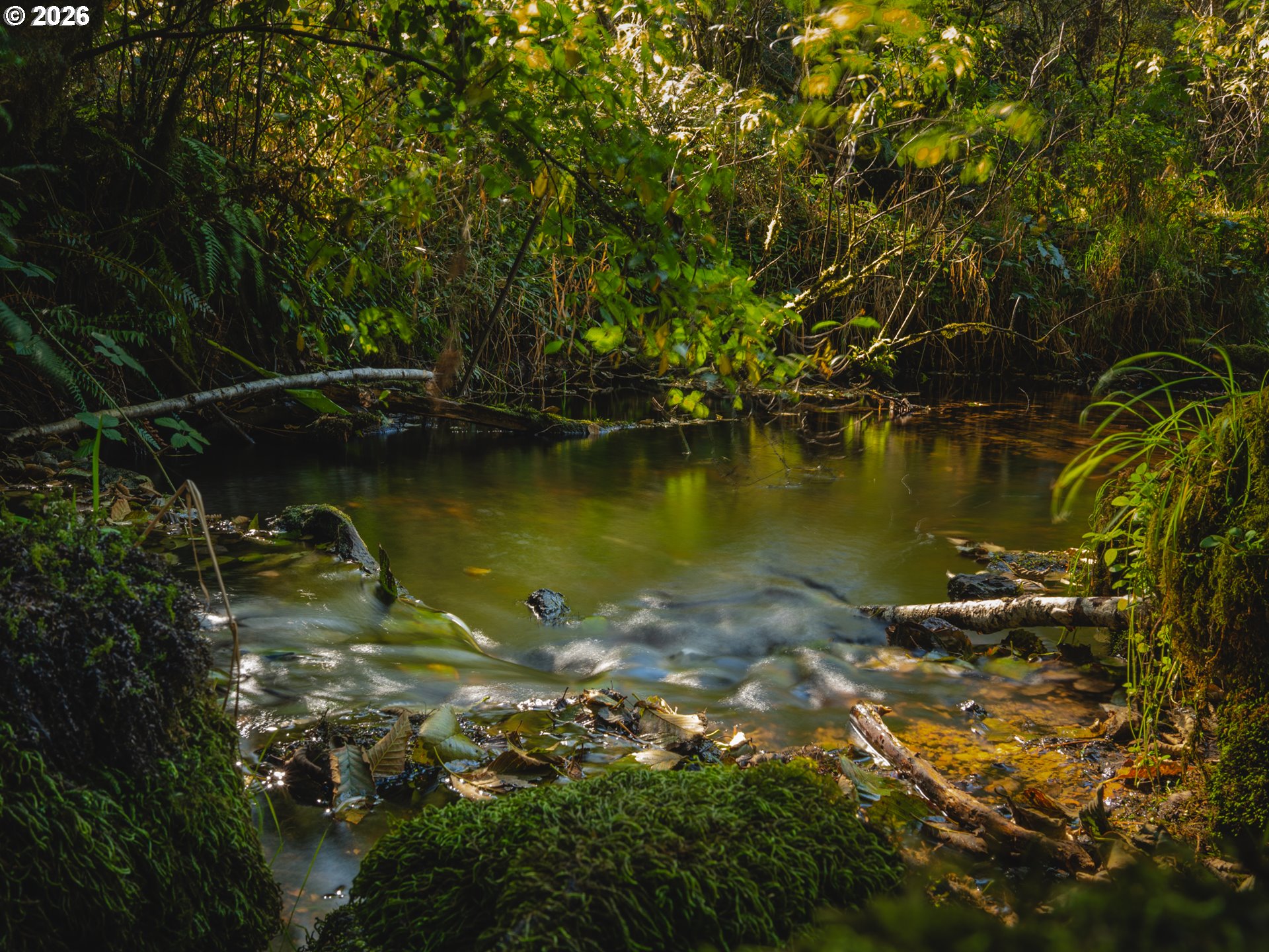 931 North S Low Road Seal Rock, OR 97376 - Photo 16 of 33