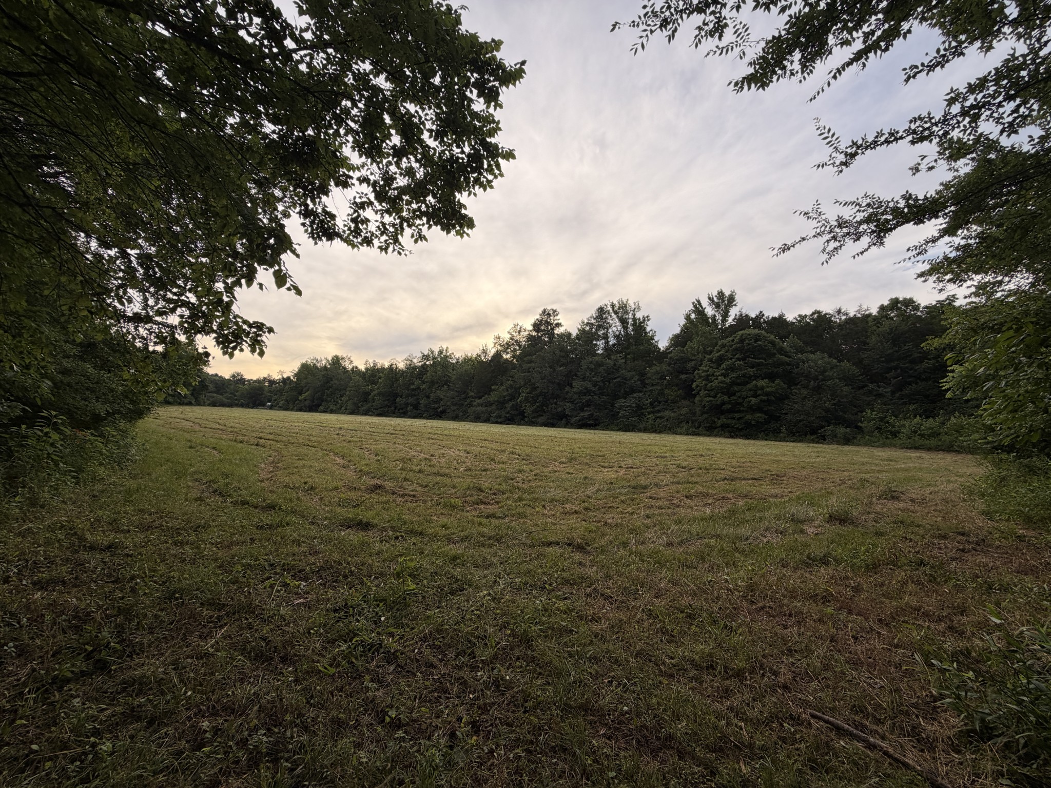 0 Dry Branch Road Holladay, TN 38341 - Photo 17 of 17