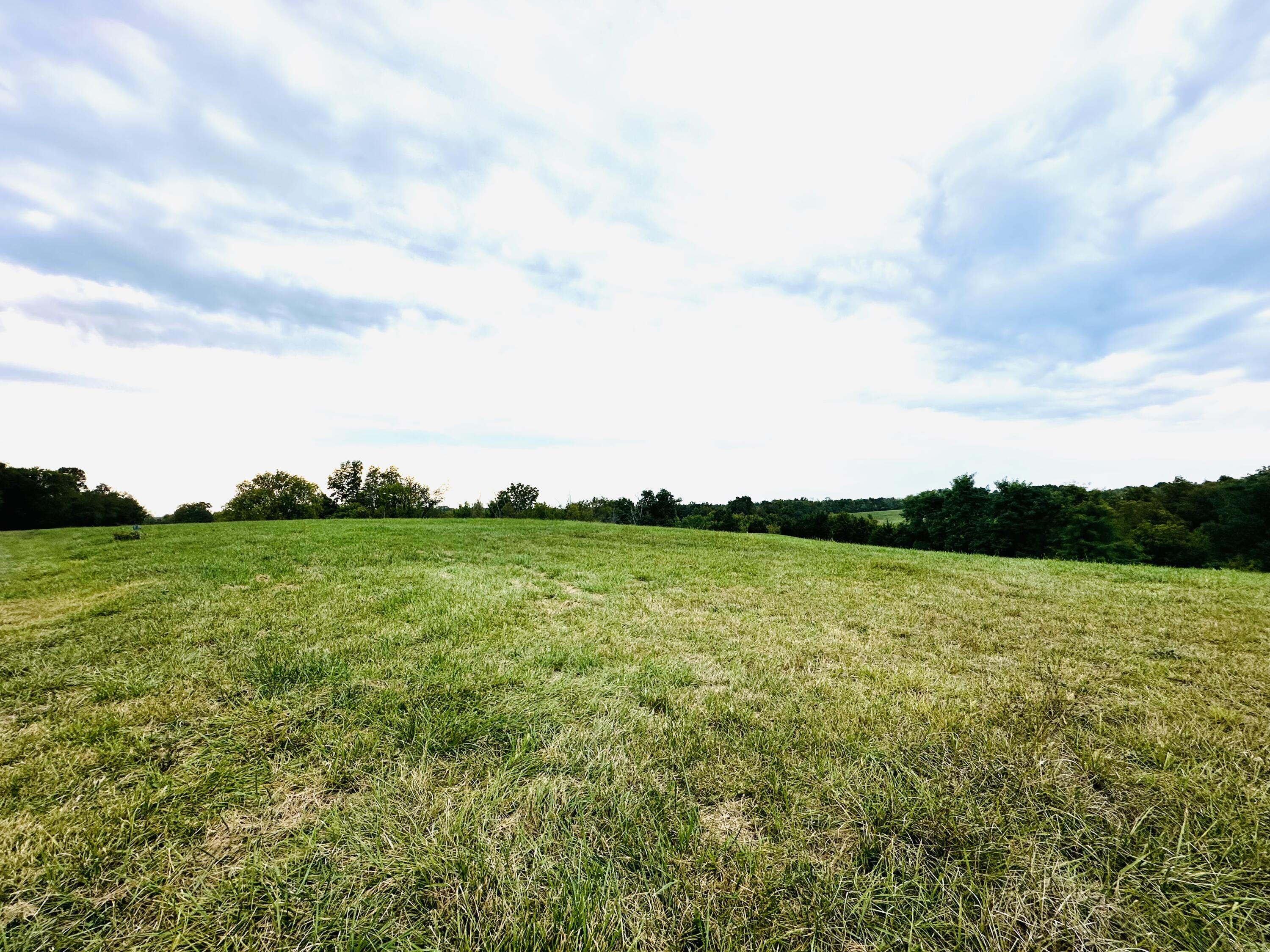 203 Chaplin Road Willisburg, KY 40078 - Photo 49 of 77 IMG_8348