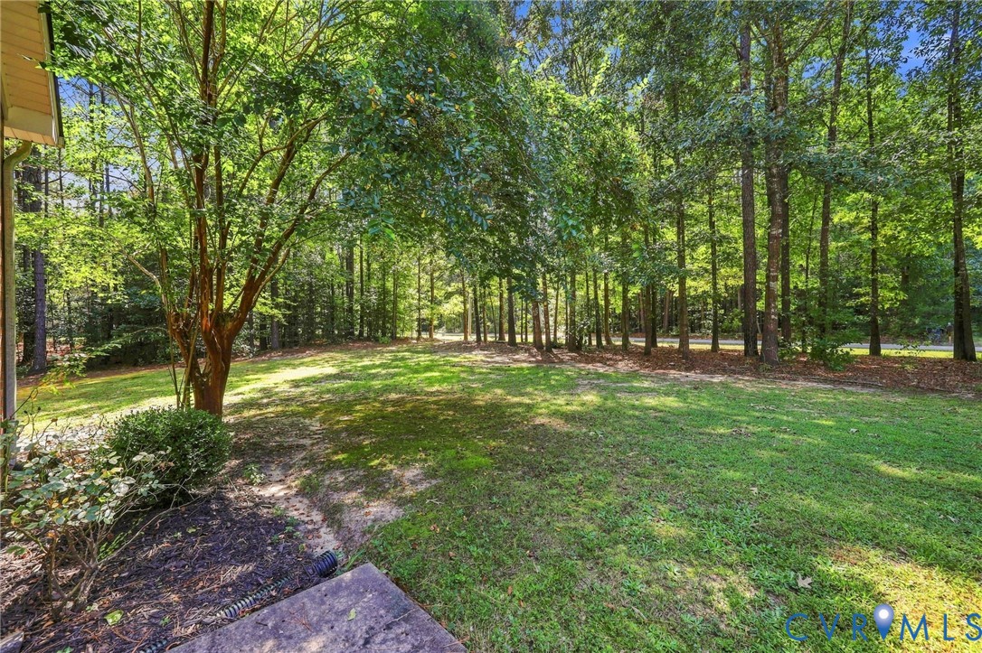 16753 Jolly Road Disputanta, VA 23842 - Photo 38 of 44 Expansive grassy yard area bordered by mature tree