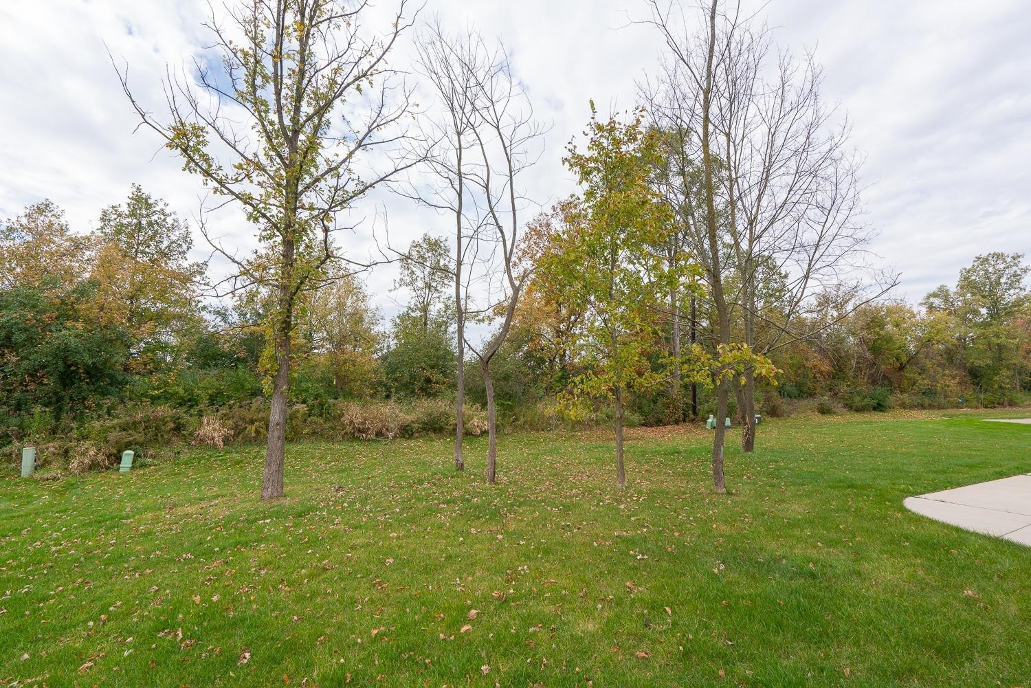 1195 Hickory Ridge Court South Canton, MI 48187 - Photo 40 of 43 Photo 40