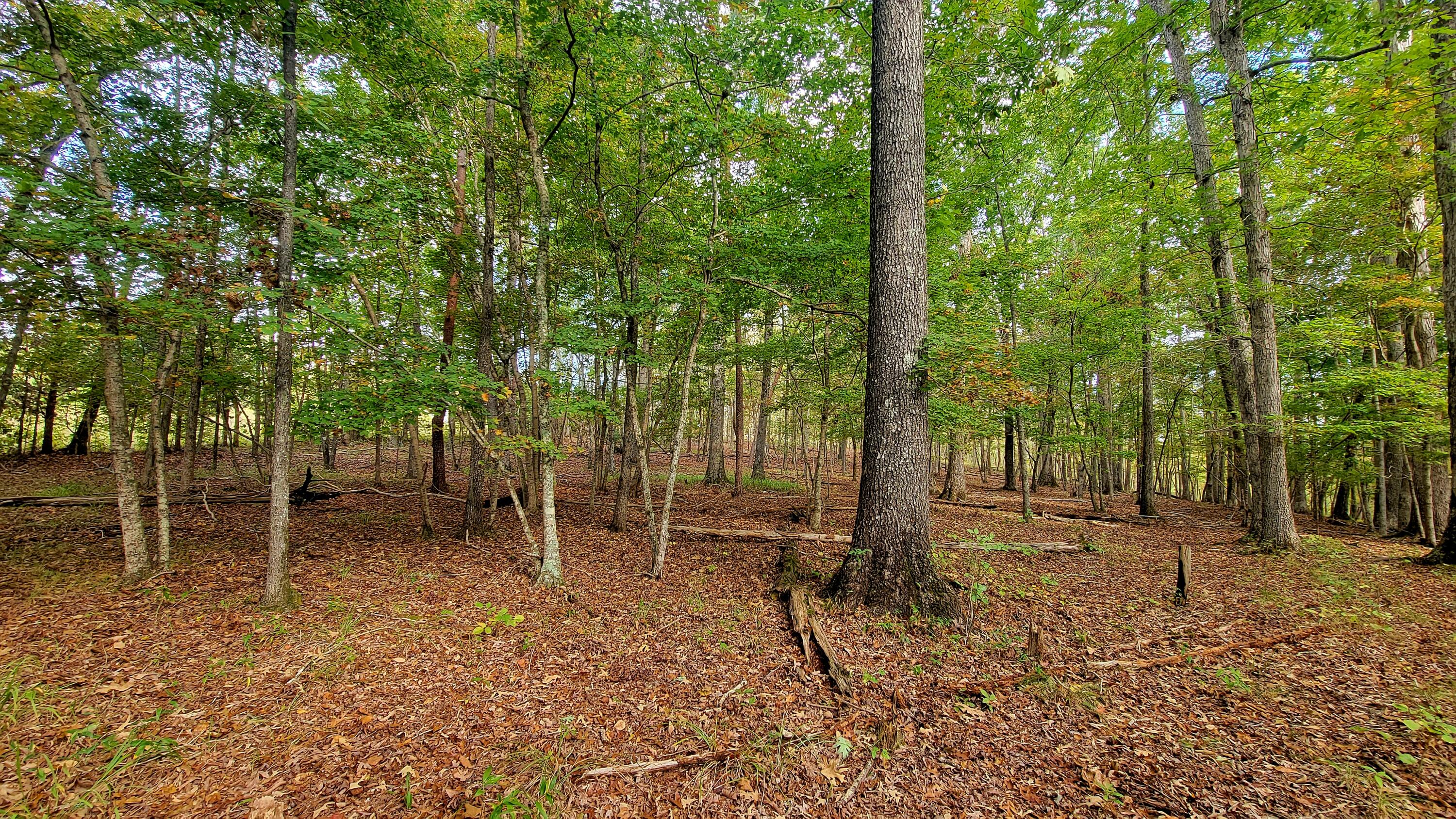 0 Straight Gut Road LaFayette, GA 30728 - Photo 15 of 38 1000048402