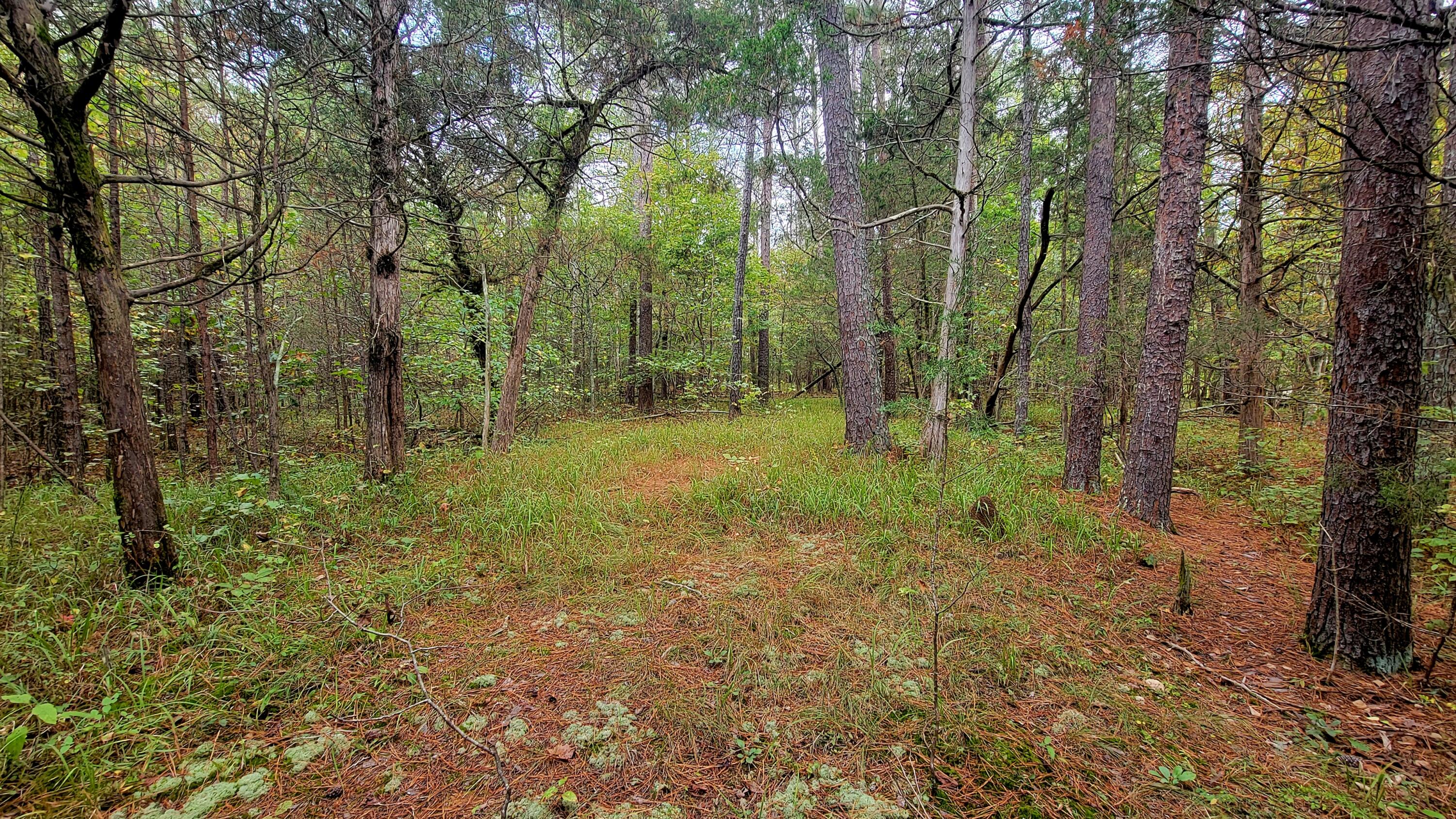 0 Straight Gut Road LaFayette, GA 30728 - Photo 21 of 38 1000048414