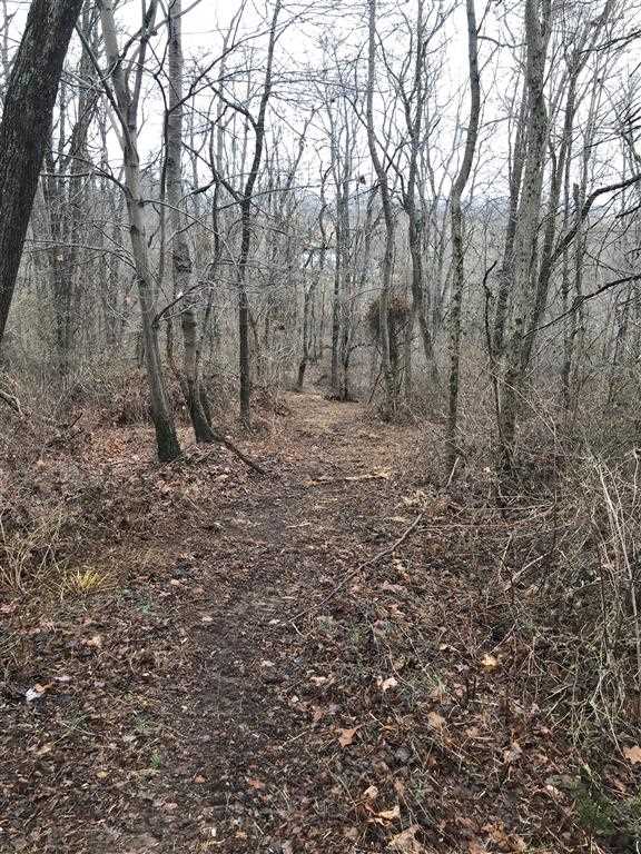 3617 Middlebrook Village Road Middlebrook, VA 24459 - Photo 11 of 12 a view of a forest with trees