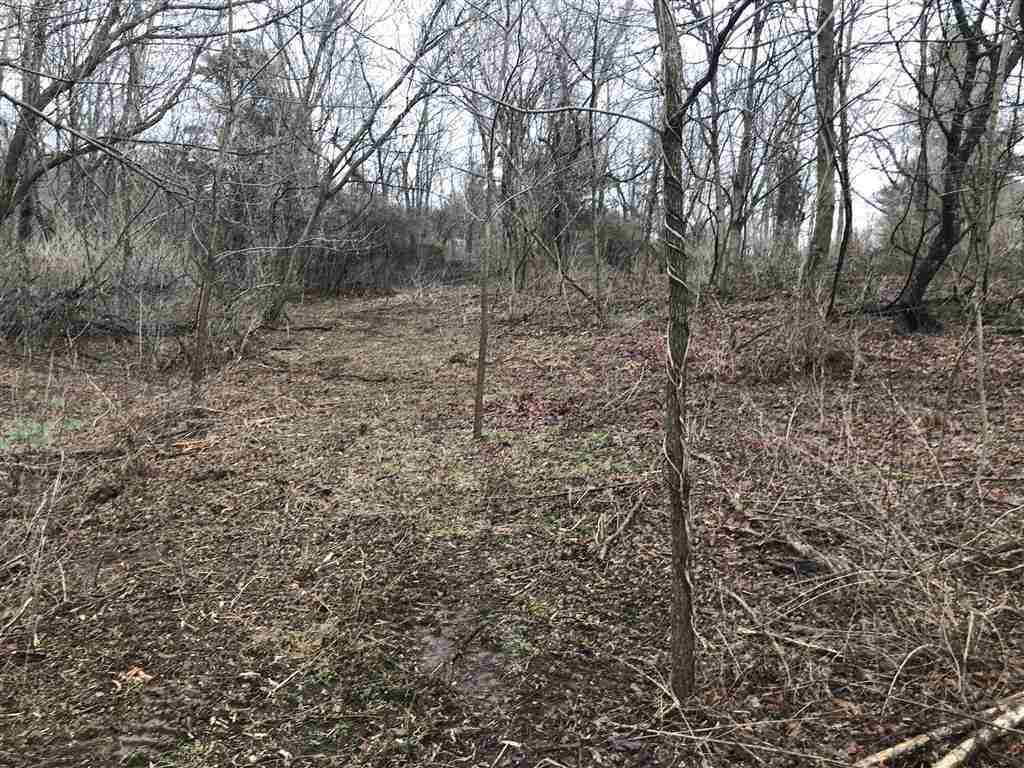 3617 Middlebrook Village Road Middlebrook, VA 24459 - Photo 12 of 12 a view of a forest with trees in the background