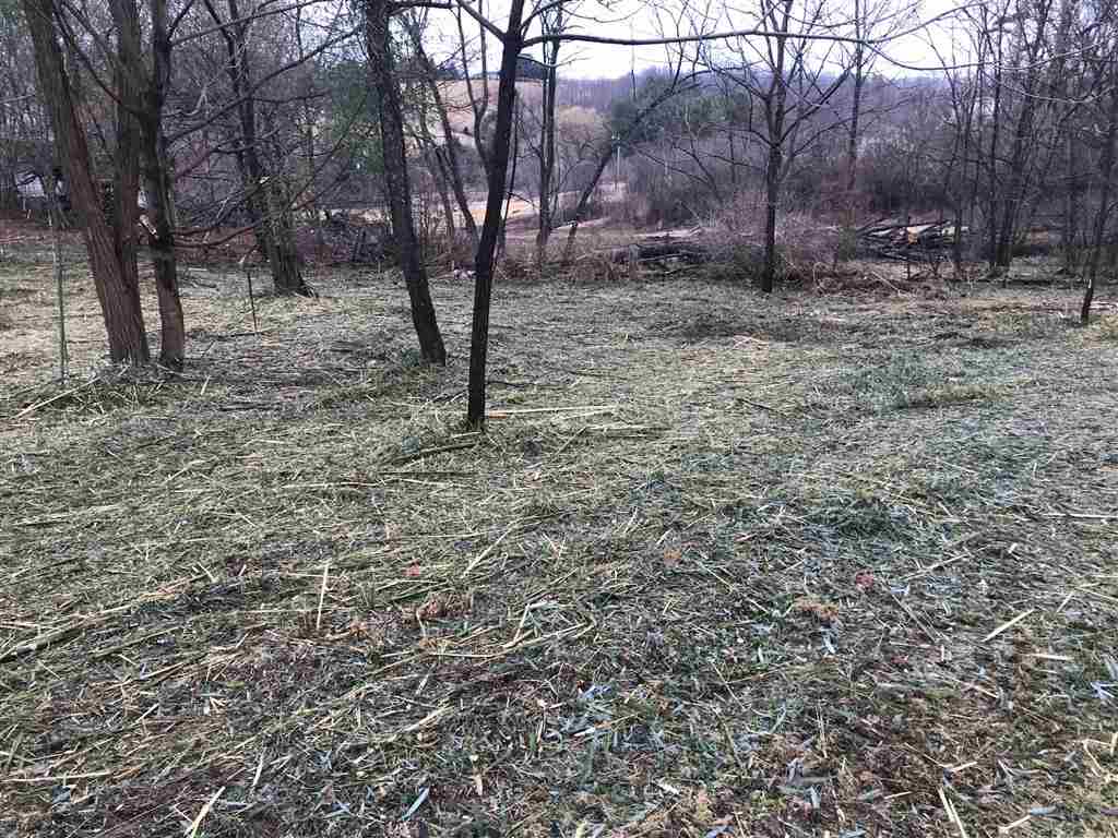 3617 Middlebrook Village Road Middlebrook, VA 24459 - Photo 2 of 12 a view of a yard with trees