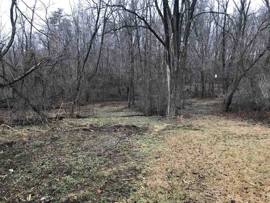 3617 Middlebrook Village Road Middlebrook, VA 24459 - Photo 3 of 12 a view of backyard with green space
