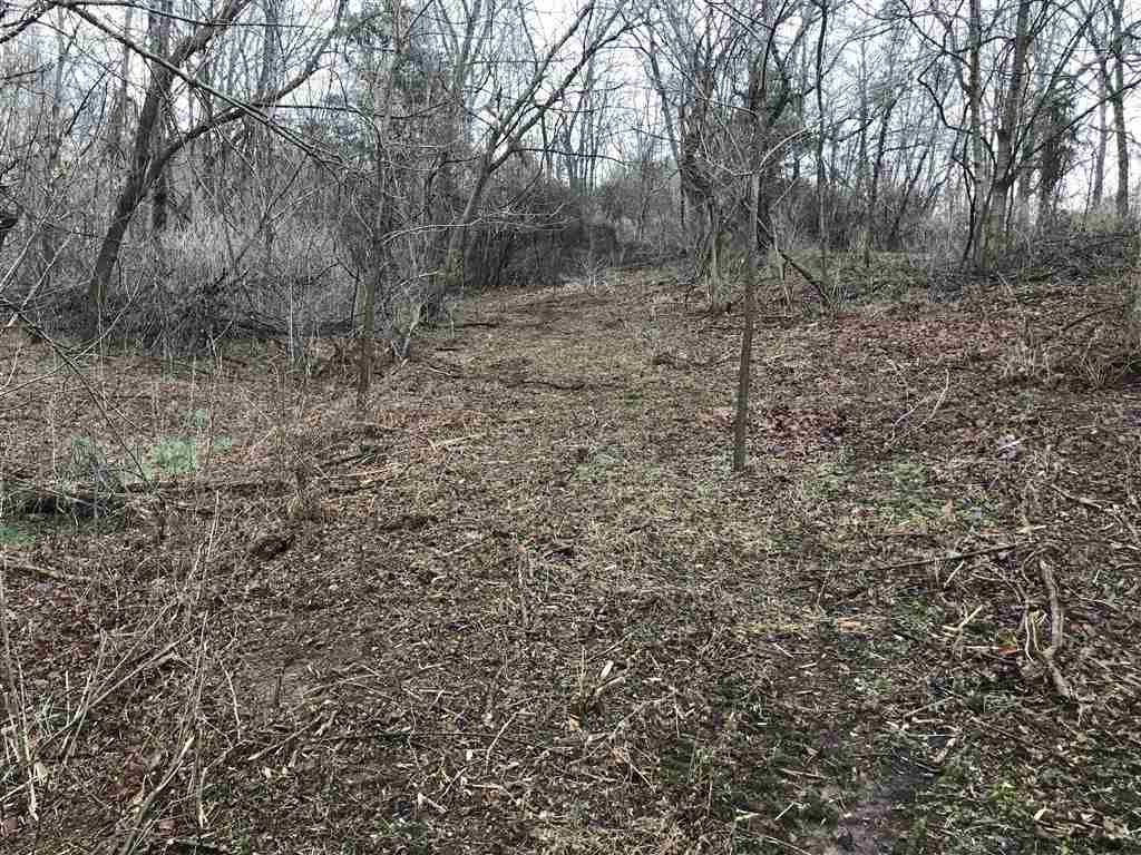 3617 Middlebrook Village Road Middlebrook, VA 24459 - Photo 5 of 12 a view of a dry yard with trees