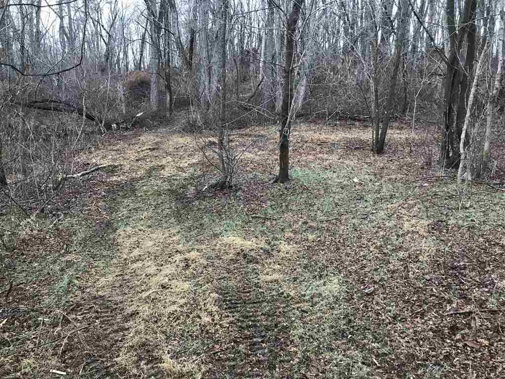3617 Middlebrook Village Road Middlebrook, VA 24459 - Photo 6 of 12 a view of a forest with trees in the background