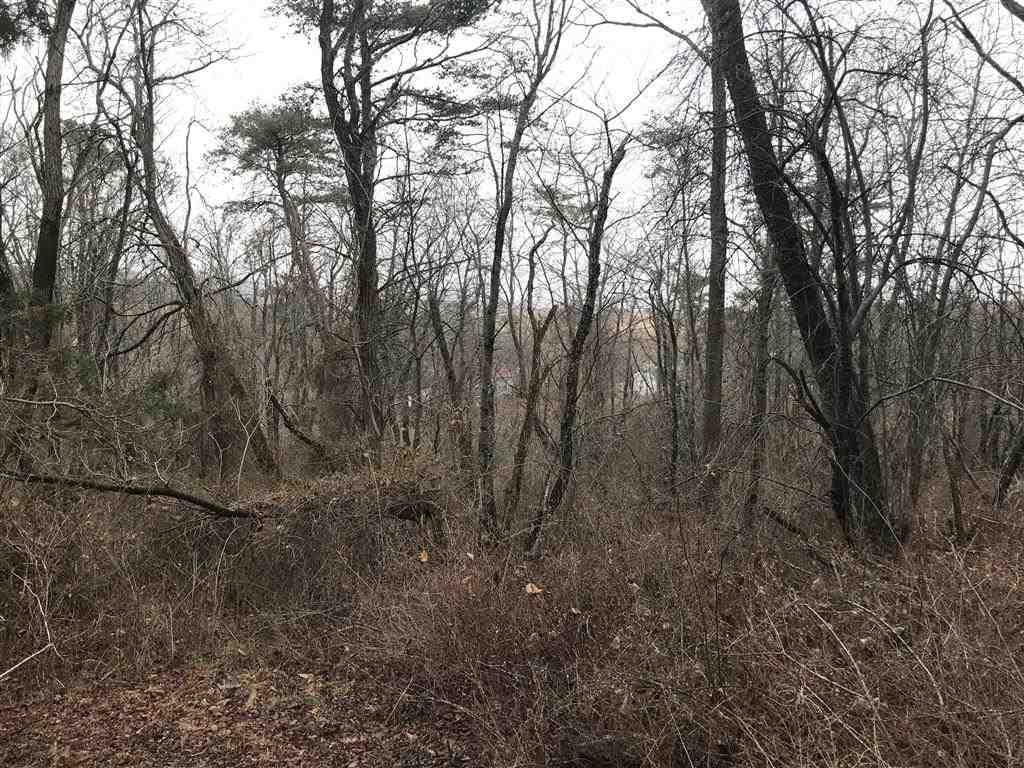 3617 Middlebrook Village Road Middlebrook, VA 24459 - Photo 10 of 12 a view of forest