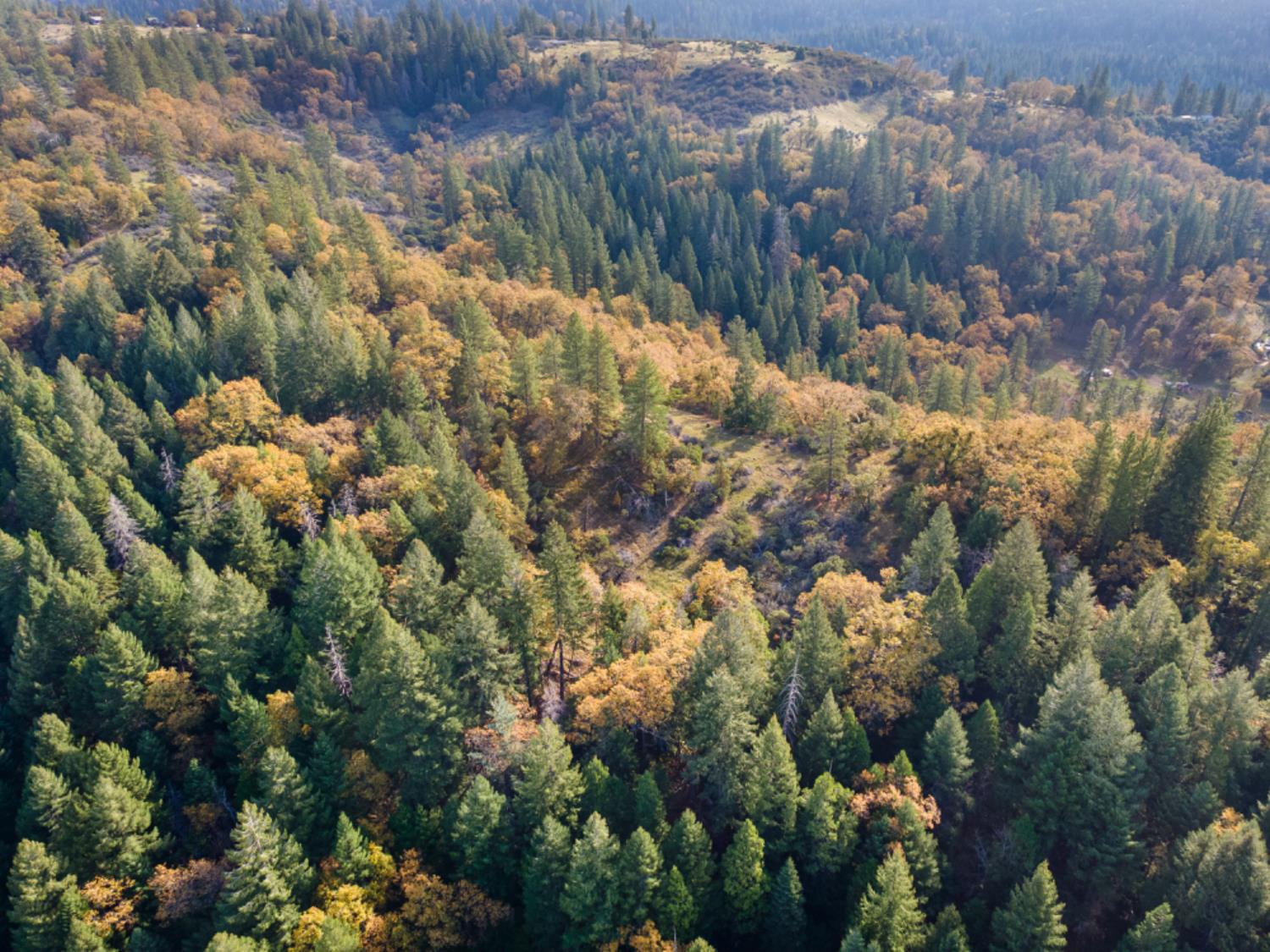 0 Starkes Grade Road Pollock Pines, CA 95726 - Photo 5 of 23