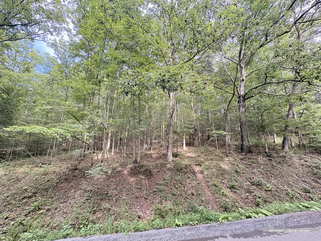 0 West Clayton Road Alderson, WV 24910 - Photo 2 of 4 Gallery Image 2