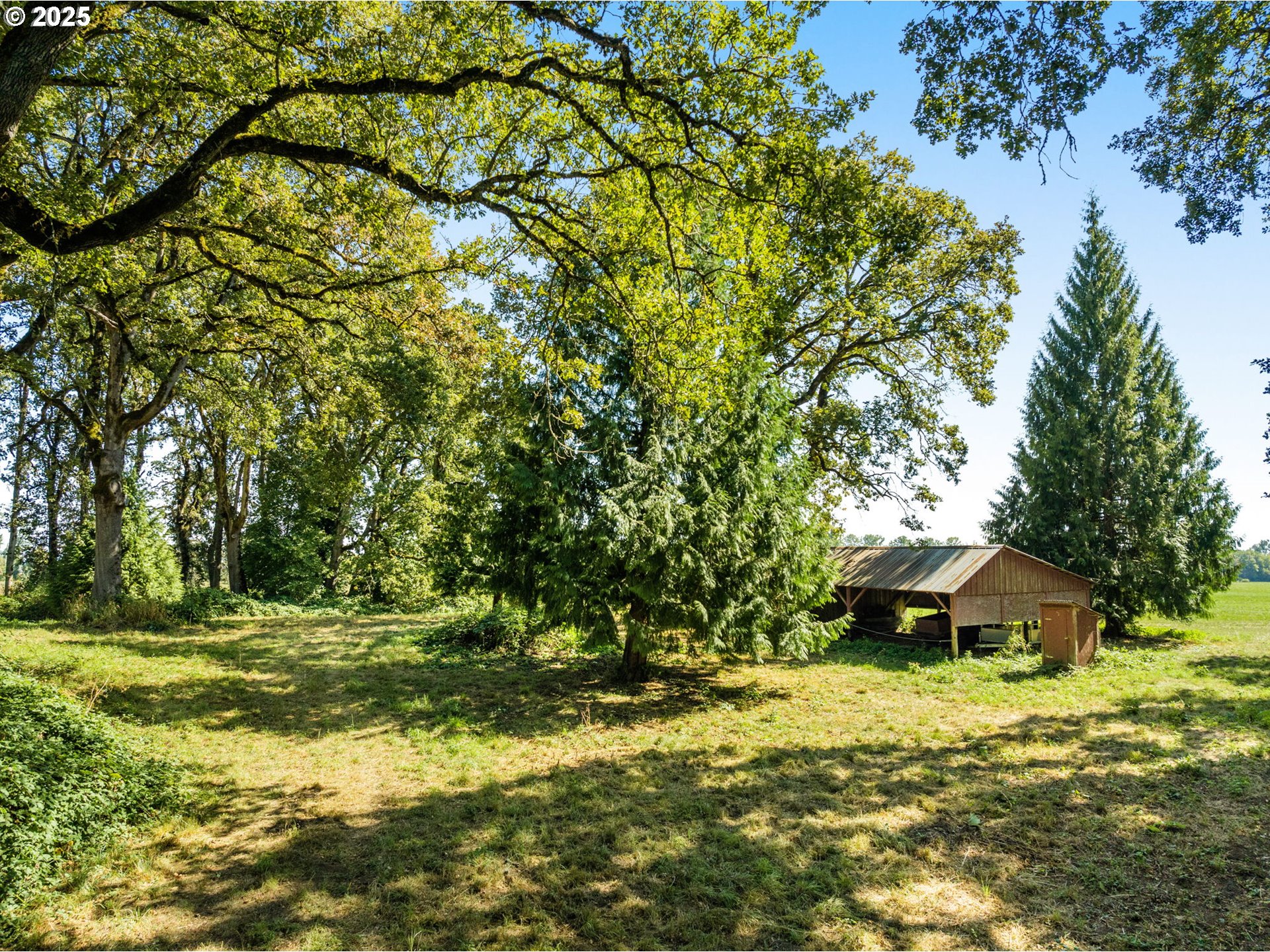 Northwest Lucy Reeder Road Portland, OR 97231 - Photo 8 of 17 a view of a house with a yard