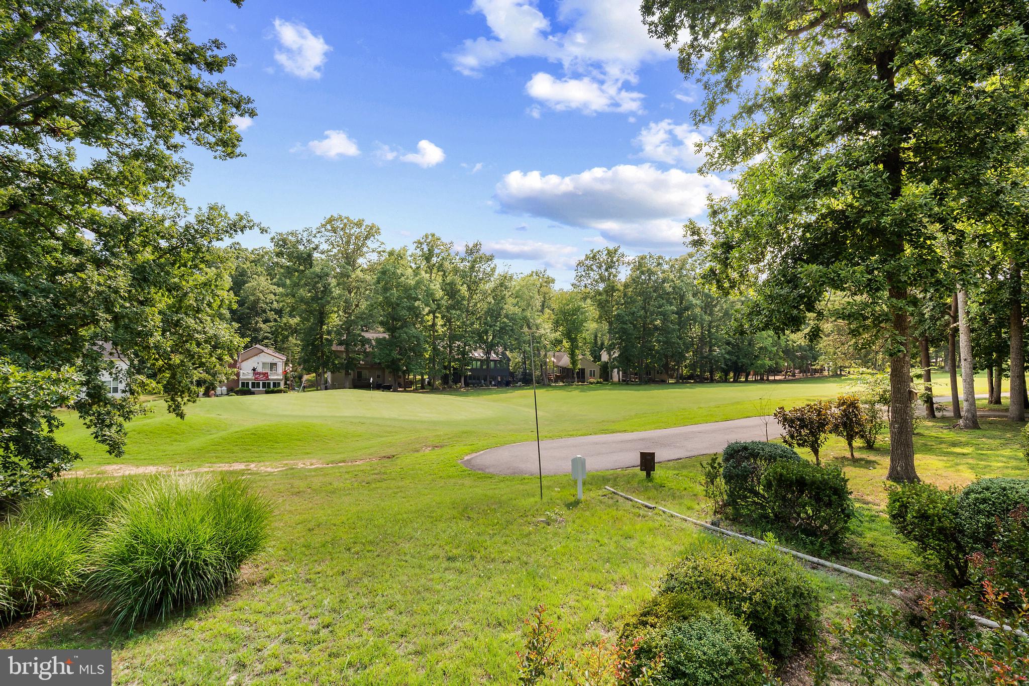 103 Eagle Court Locust Grove, VA 22508 - Photo 5 of 41 Rear View of 8th Hole