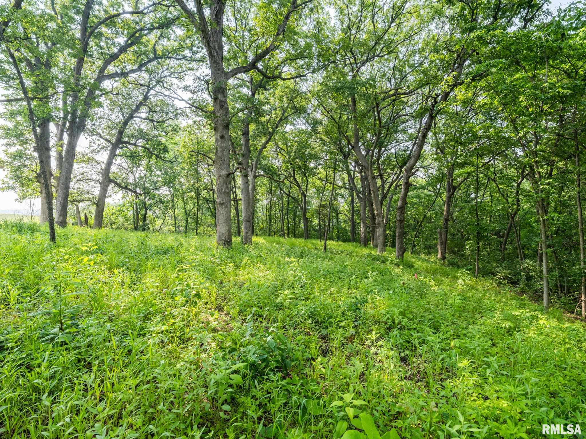 3041 Zion Oaks Road Pekin, IL 61554 - Photo 11 of 26 Gallery Image 11