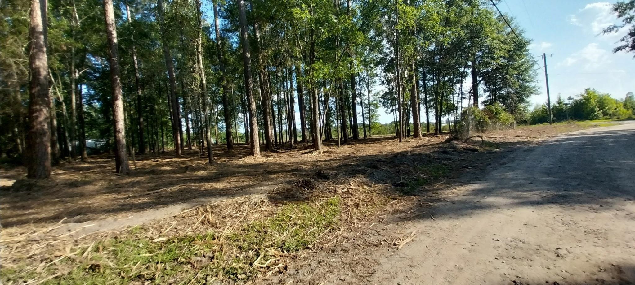 5540 York Road Marion, SC 29571 - Photo 3 of 3