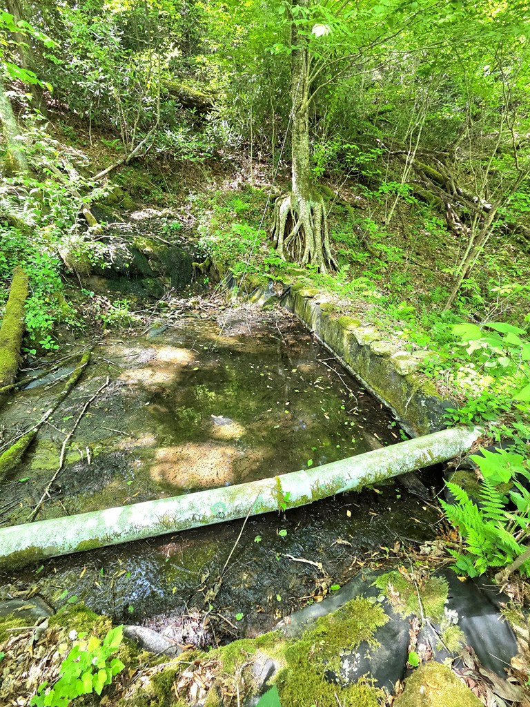 795 Porter Field Gap Road Robbinsville, NC 28771 - Photo 45 of 105