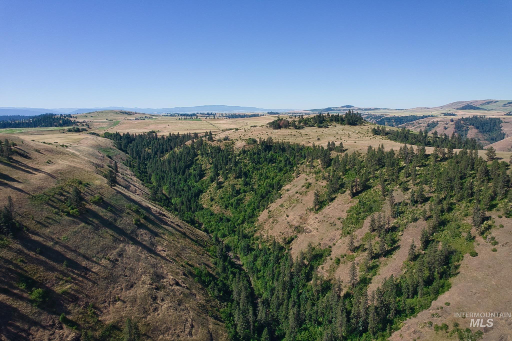 Doty Road Kamiah, ID 83536 - Photo 16 of 19