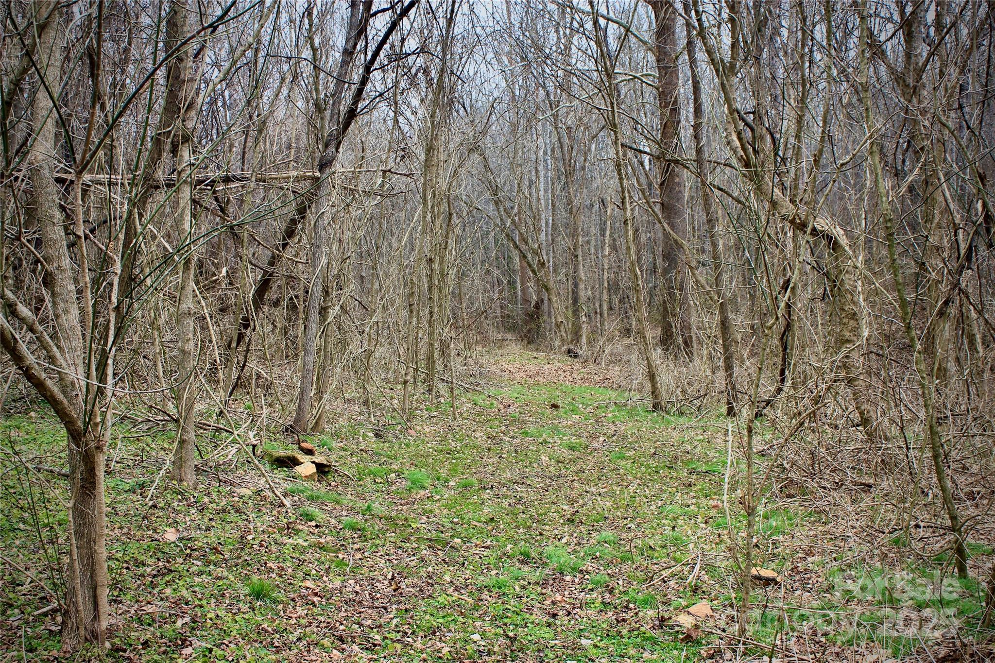 0 Hawkins Loop Road Mooresboro, NC 28114 - Photo 4 of 8 Gallery Image 4