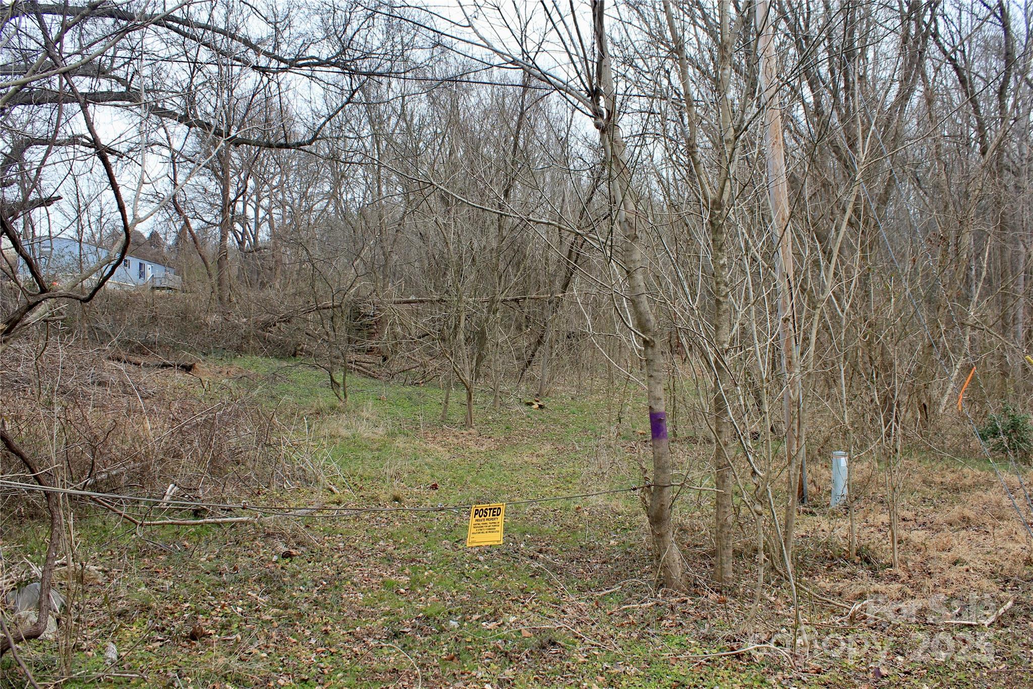 0 Hawkins Loop Road Mooresboro, NC 28114 - Photo 5 of 8 Gallery Image 5