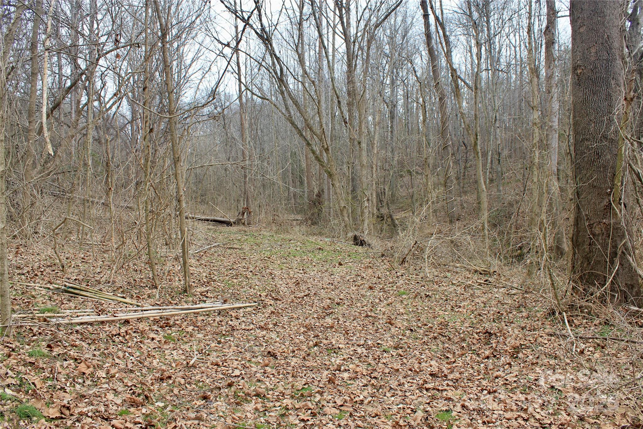 0 Hawkins Loop Road Mooresboro, NC 28114 - Photo 6 of 8 Gallery Image 6