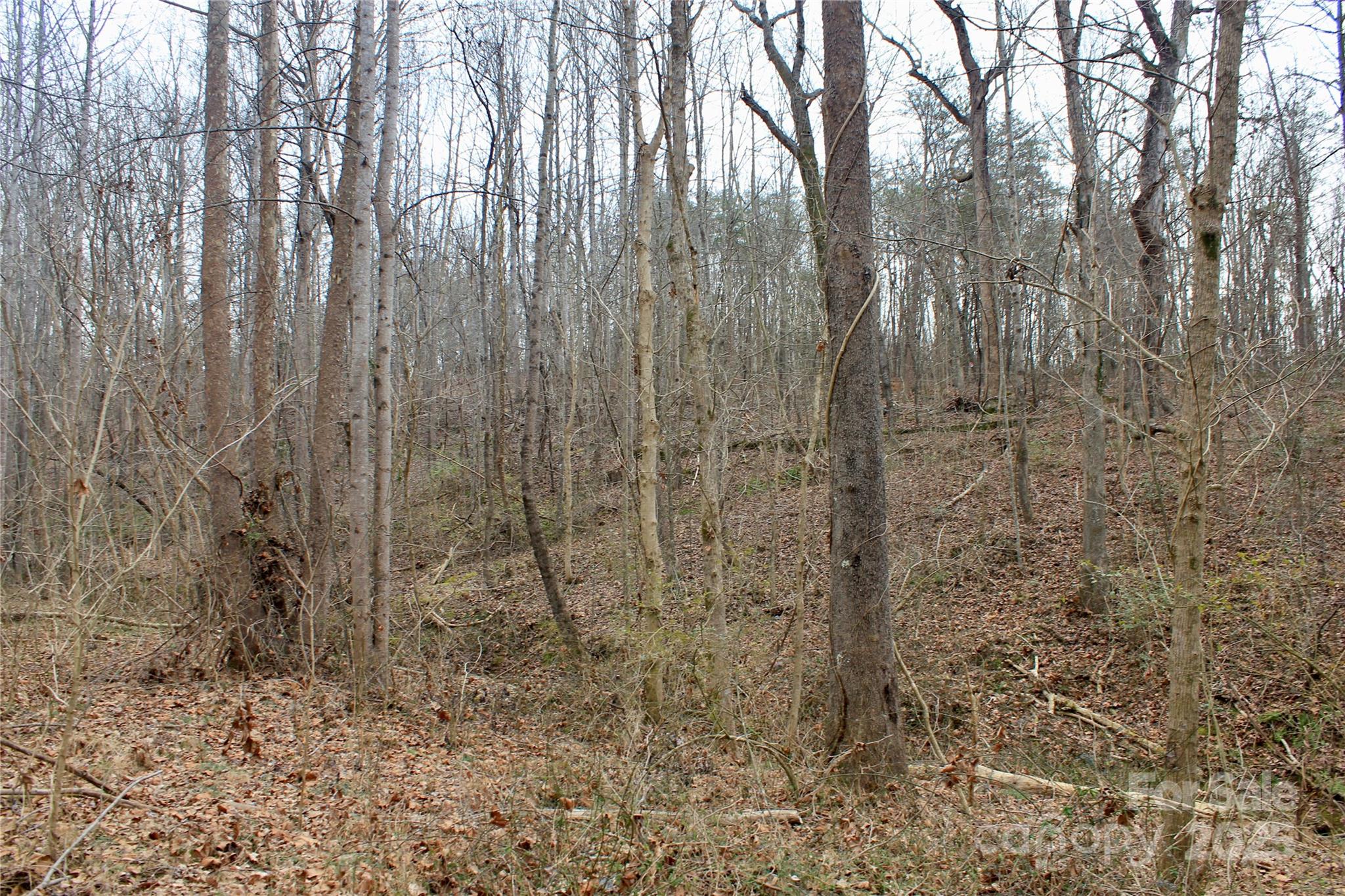 0 Hawkins Loop Road Mooresboro, NC 28114 - Photo 7 of 8 Gallery Image 7