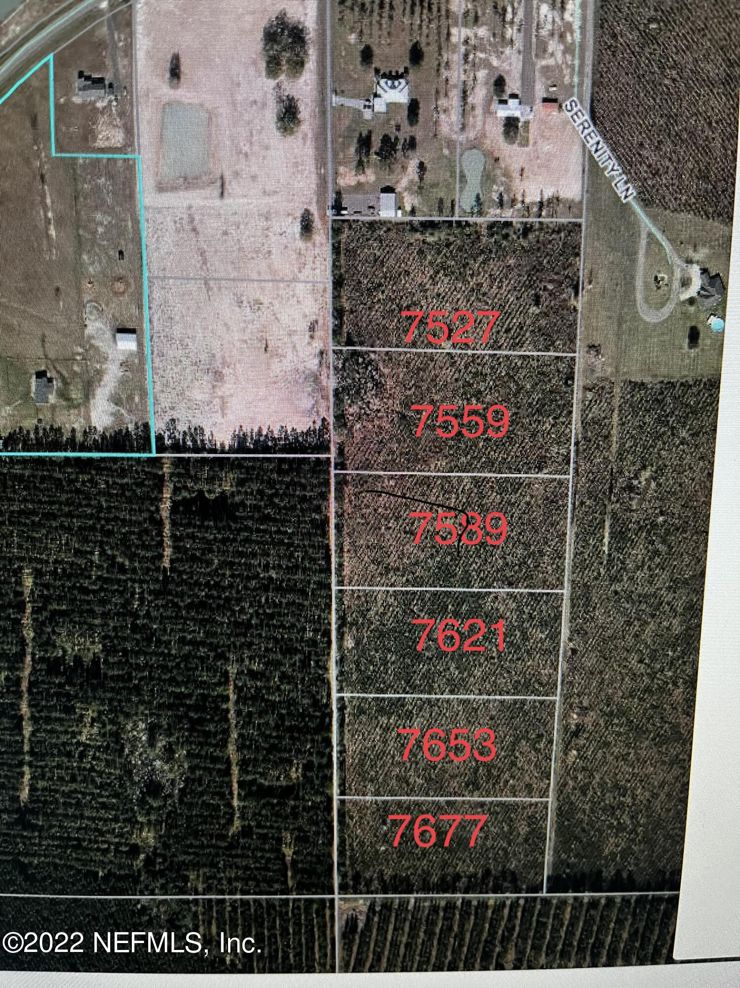 7621 Lucky Seven Ranch Road Macclenny, FL 32063 - Photo 3 of 4 Plots