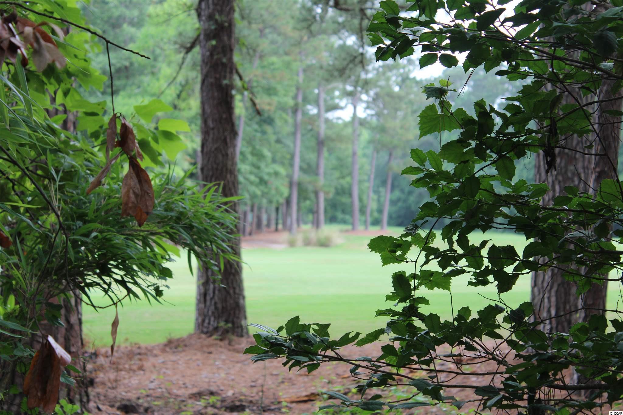 145 Quail Run Conway, SC 29526 - Photo 9 of 29 Gallery Image 9