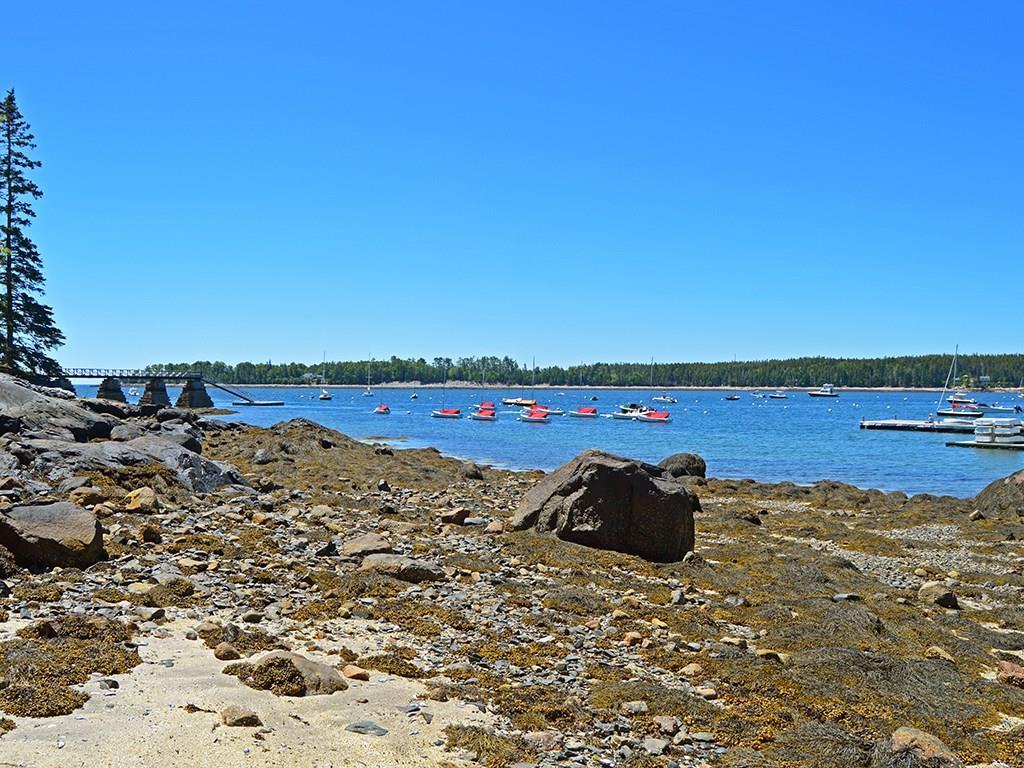 46 South Shore Road Northeast Harbor, ME 04662 - Photo 31 of 32 Rocky Maine beach with small boats...