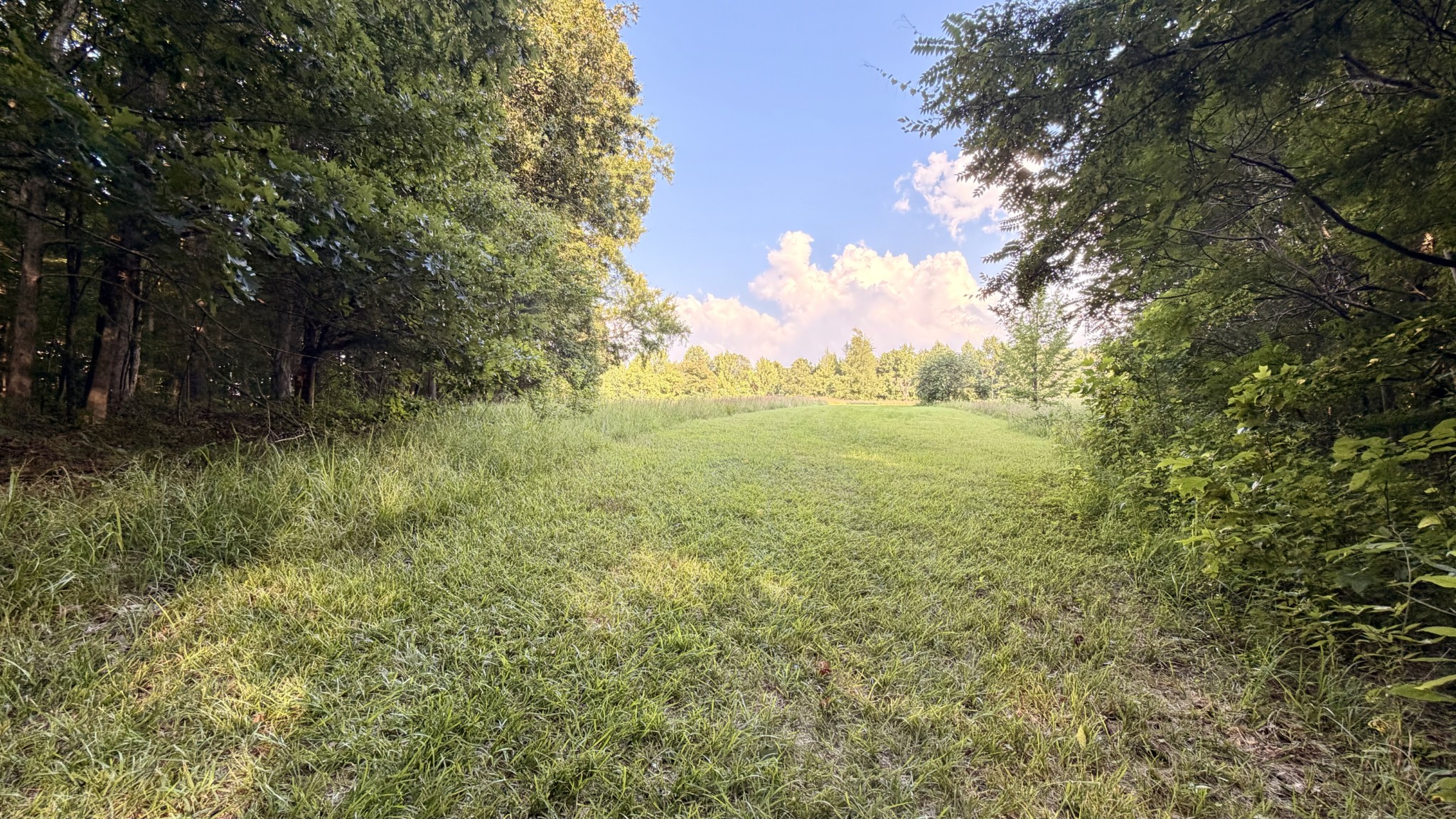 309 Charley Davis Road Goodspring, TN 38460 - Photo 20 of 87 Gallery Image 20
