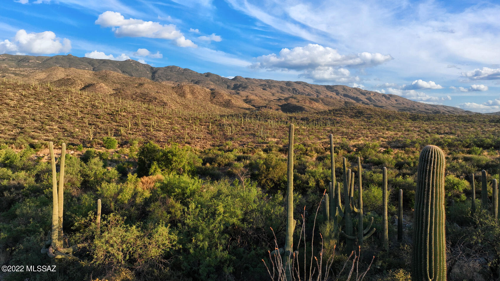 14770 East Redington Road Tucson, AZ 85749 - Photo 13 of 31