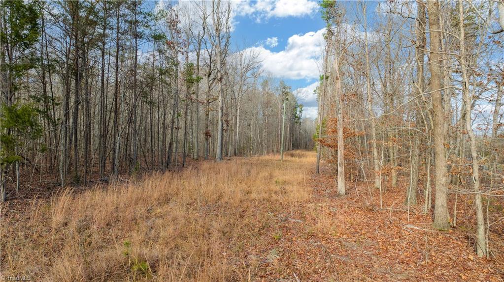 0 West Cooper Road Staley, NC 27355 - Photo 24 of 26