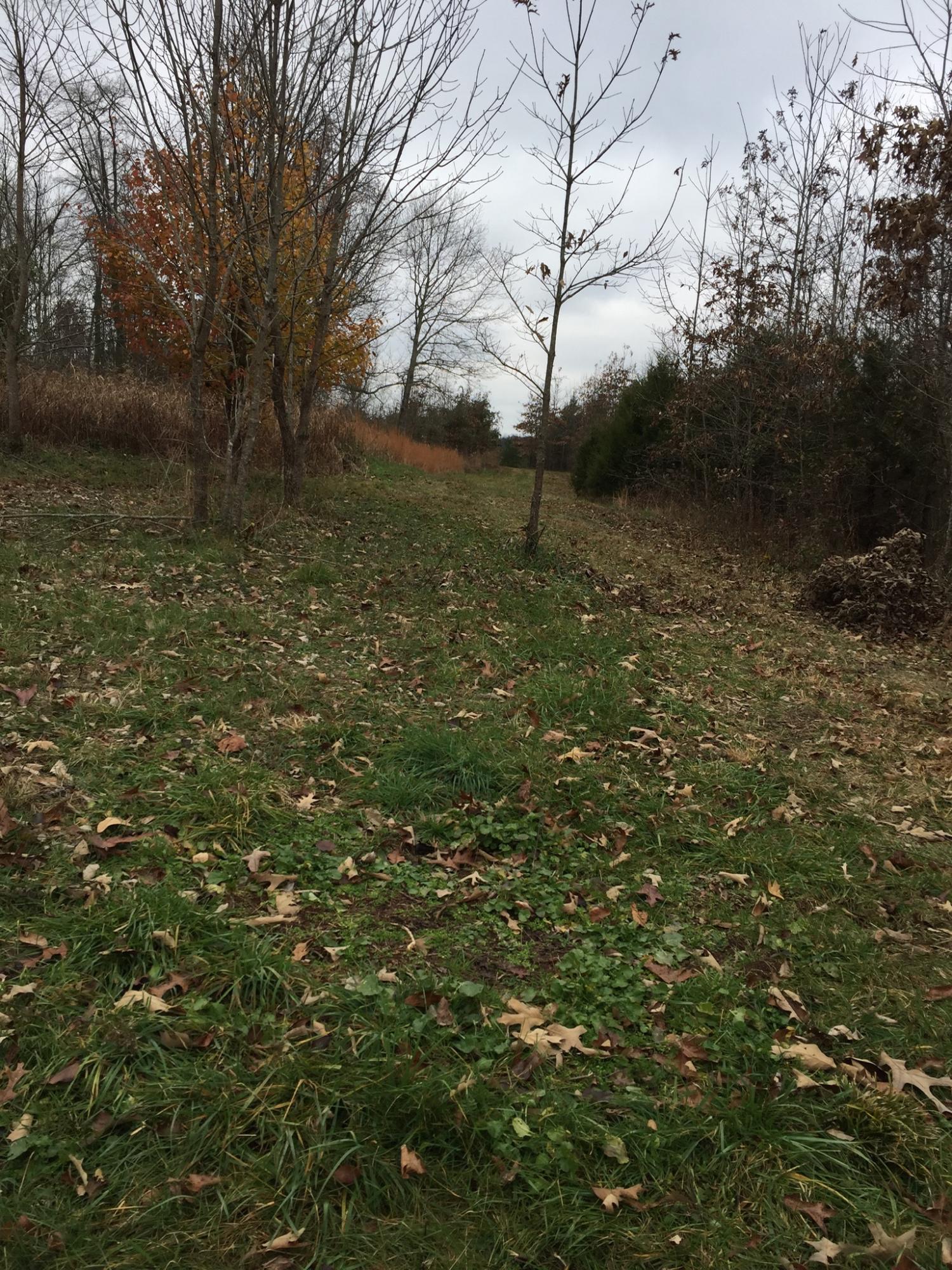 1280 Daws Ridge Road Nancy, KY 42544 - Photo 2 of 12 CFA2FB8F-D354-4300-ABE2-B9923BEDF7F8<|><