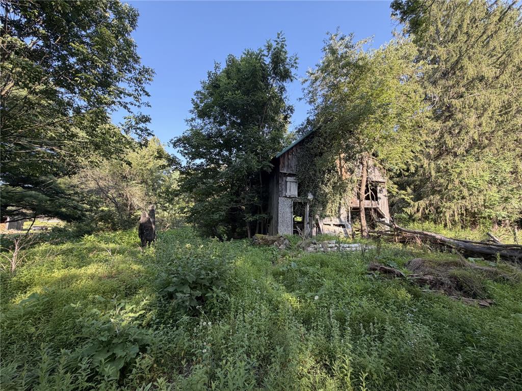 730 Ridge Road Shickshinny, PA 18655 - Photo 11 of 44 A rustic barn stands amidst a flourishing, untamed landscape, offering endless possibilities.