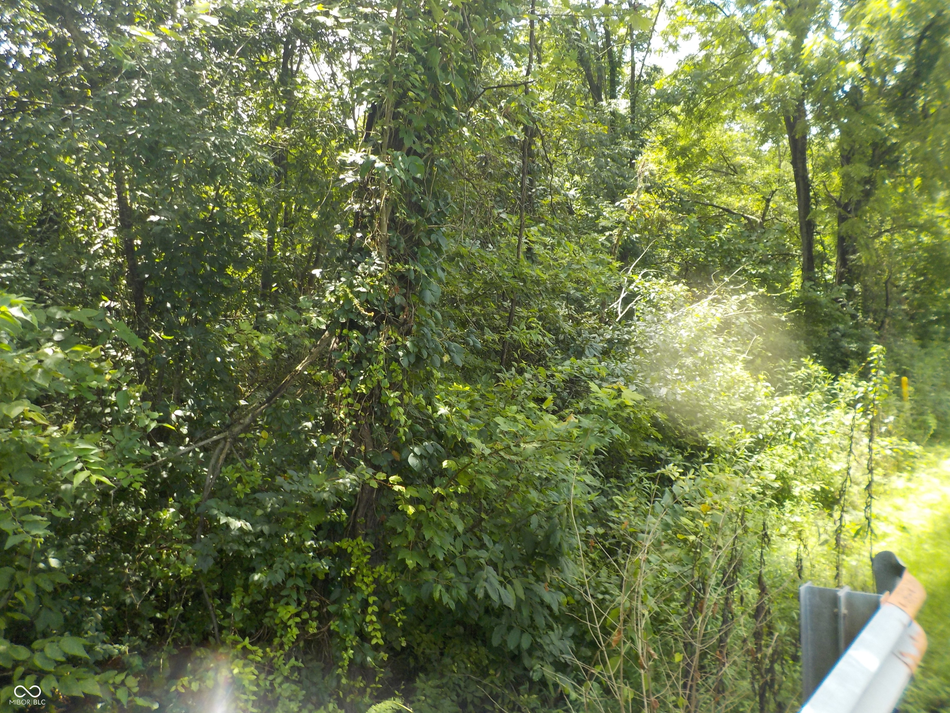 0 East County Rd 475 Road South Winslow, IN 47598 - Photo 4 of 4 Gallery Image 4