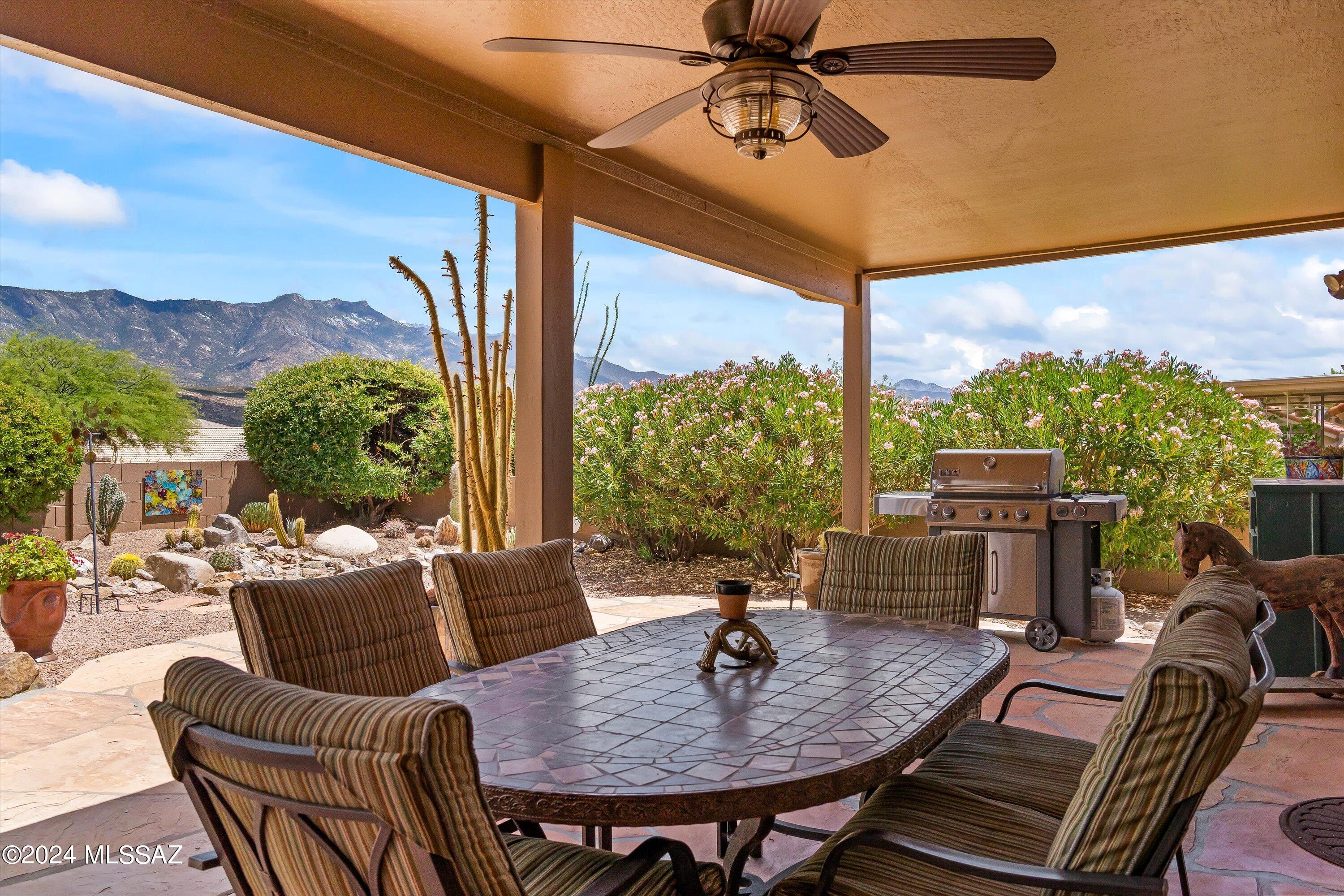 36031 Mesa Ridge Drive Tucson, AZ 85739 - Photo 1 of 45