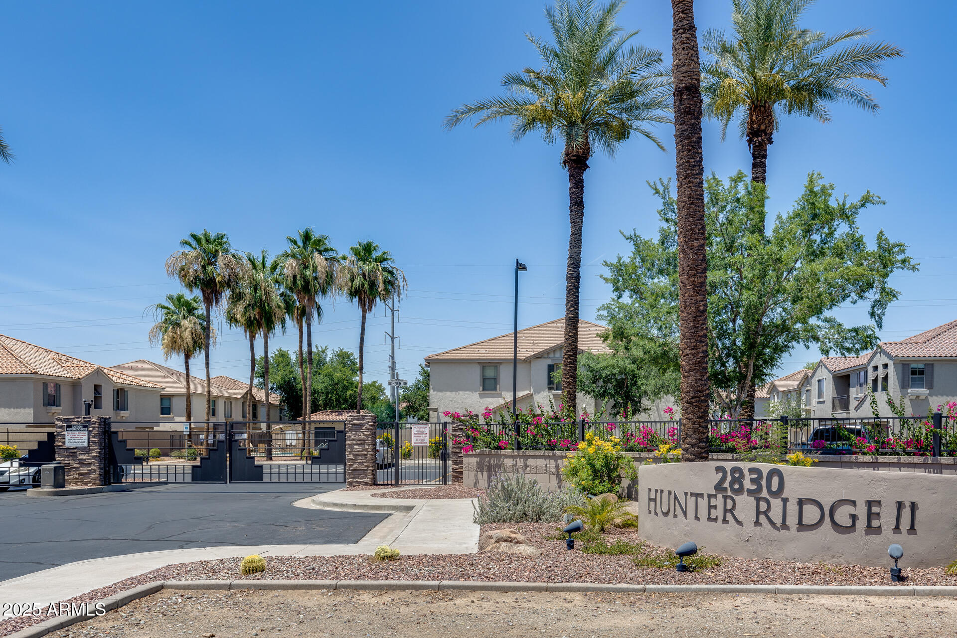 2941 East Darrow Street Phoenix, AZ 85042 - Photo 4 of 48 a view of a street with palm trees