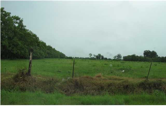 Maylan Road Kaplan, LA 70548 - Photo 1 of 1 Primary Photo