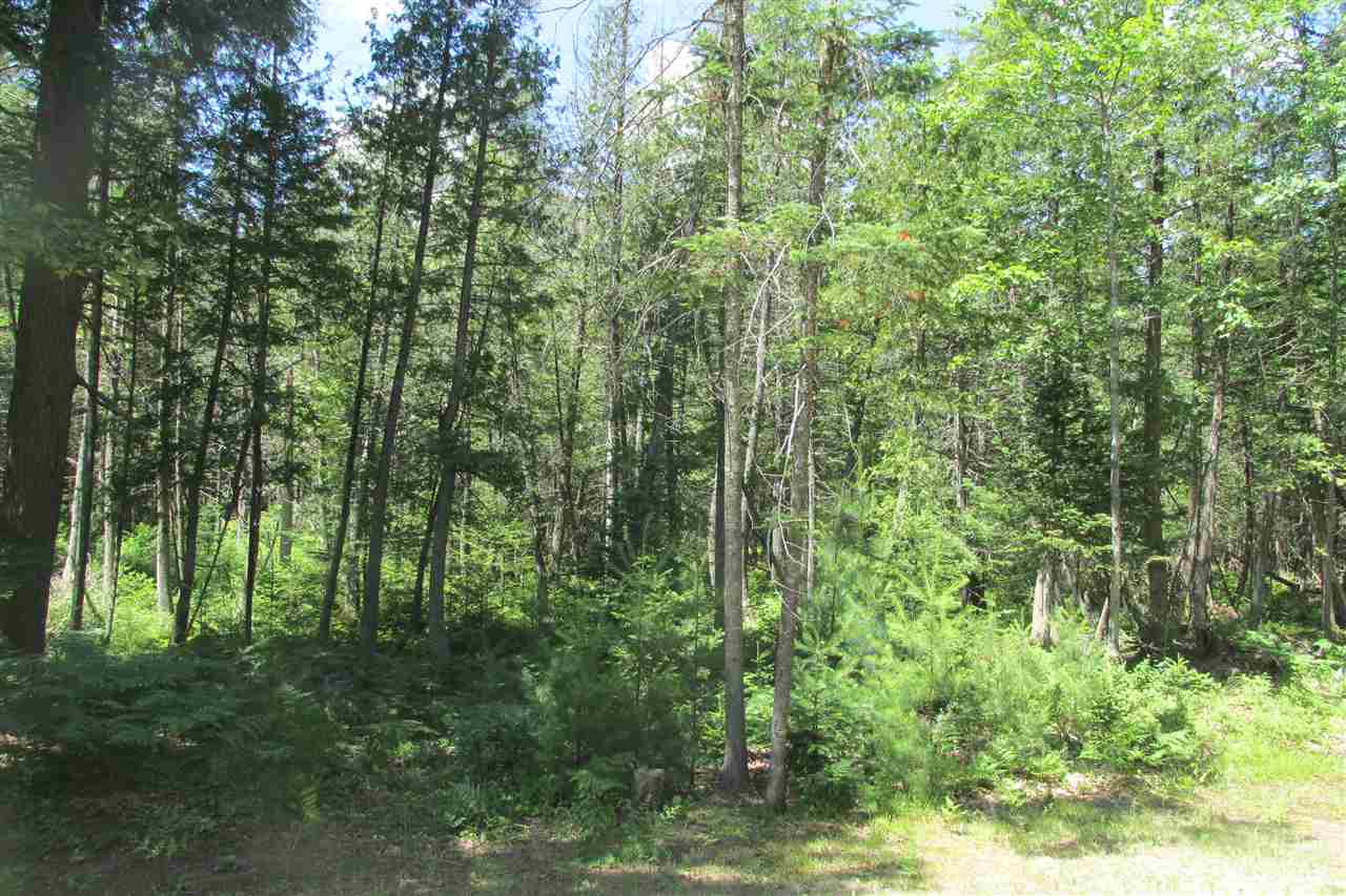 8929 North Morey Road Manton, MI 49663 - Photo 14 of 17 1823442-13.JPG