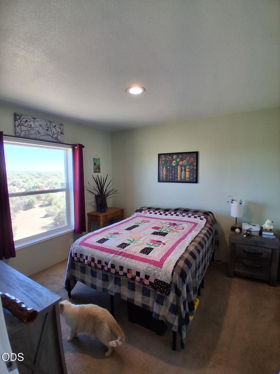 58936 Fossil Lake Road Christmas Valley, OR 97641 - Photo 16 of 34