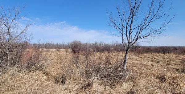 $115,000 | 513-xx 513-xx Leaf River Road, Ottertail, MN 56571