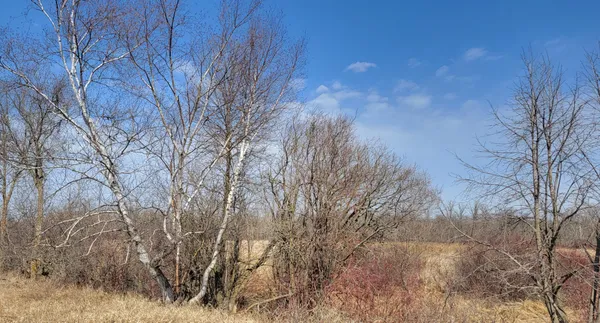 $115,000 | 513-xx 513-xx Leaf River Road, Ottertail, MN 56571
