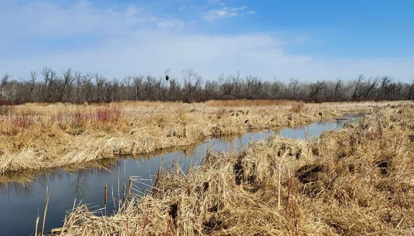$115,000 | 513-xx 513-xx Leaf River Road, Ottertail, MN 56571