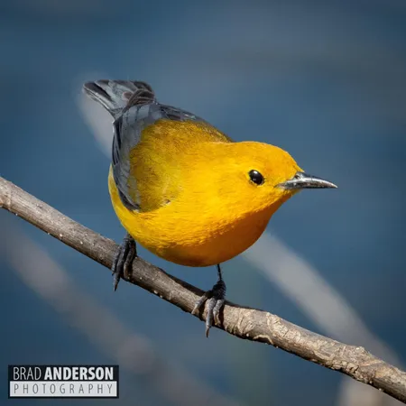 $115,000 | 315-xx 315-xx Leaf River Road, Ottertail, MN 56571