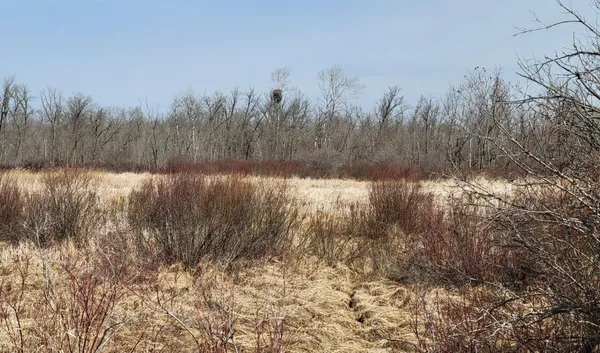 $115,000 | 513-xx 513-xx Leaf River Road, Ottertail, MN 56571